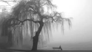 Birds of Passage - Whisper a Word