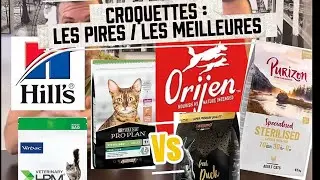 Les croquettes a donner ou a éviter ! On rétablit la vérité ! Attention aux fakes!