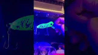 first Murray cod lure. 35 grams floating diving wooden hand carved lure. #handmadelure #fishing