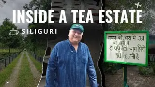 Exploring The Tea Estates Of Siliguri 