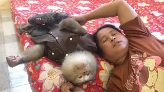 Handsome Jason Excuse Comfy Rest Beside To Avoid Let Mom Nap On His Lap