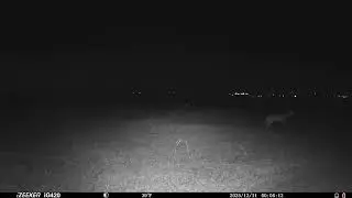 Fayette Power Plant night view from Weimar Texas trail camera