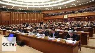 Full video: 2nd plenary meeting of 4th session of 12th NPC