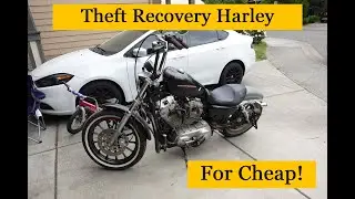 I purchased a theft recovery Harley Davidson XL883 for CHEAP!