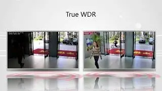 WDR (Wide Dynamic Range &ndash; широкий динамический диапазон)