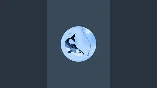 Ravi Rawat is live