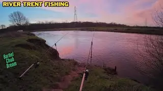 TIDAL RIVER TRENT FISHING BARBEL CHUB BREAM