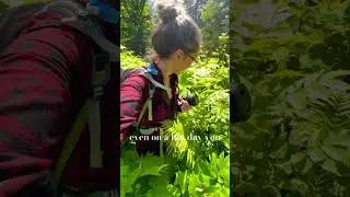Isle Royale National Park in 1 minute. Hiking, backpacking & trails of a solo traveler