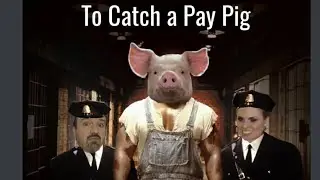 To Catch a Paypig part 23 (Kevin B, NDO103, Brickboy103)