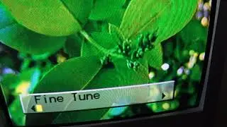 Fine tuning my analog TV station