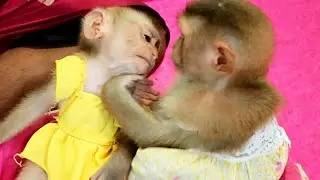 Lyly Sweet to Boki, Baby Boki Soft Eyes to Lyly