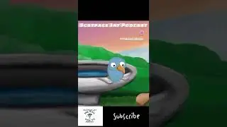 Wanna see my pecker 🤣🤣🤣🤣