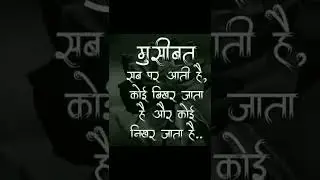 Dynamic Shayari | success life status| best instagram whatsapp status| motivation status #shorts