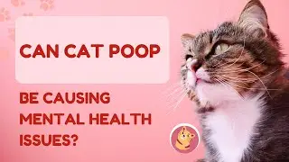 Can cat poop be causing mental health issues? Curious Link Between Cat Ownership and Schizophrenia.