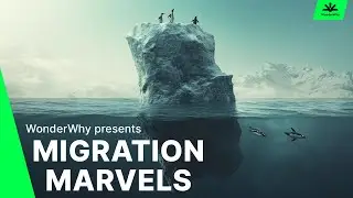 Migrating Animals You Didn’t Know About | Secret Journeys of the Wild