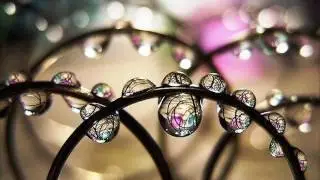 Horoscopes 16-22 January 2017