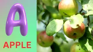 ABC Phonics Song | Alphabet letter sounds | ABC learning for toddlers | Education ABC Nursery Rhymes
