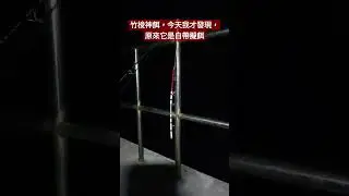 竹梭神餌到底有沒有辦法建功呢？ #釣り #pangingisda