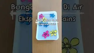 Eksperimen Sederhana - Bunga Mekar di Air #shorts #eksperimen