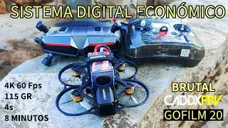 El mejor sistema FPV digital ? CADDX FPV Gofilm 20 + WALKSNAIL AVATAR X