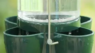 Happy Beaks Hanging Water Feeder