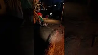 Maple Lodge Campsite Loop Spot in Phasmophobia