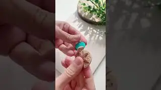 How to Bake Polymer Clay  #diy #claycreations  #clayinspiration  #polymerclayearrings #artsandcrafts
