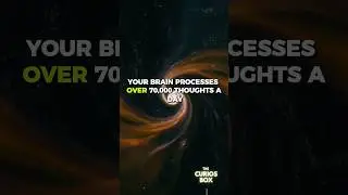 &ldquo;3 Mind-Blowing Facts About Your Brain 🧠 | The Curio Box&rdquo;