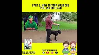 Part 3: How to STOP your DOG PULLING on LEASH?