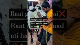 @ShahMalik-M8B #automobile  #ytshorts #youtubeshorts t##2025 #qurbani #karachi #trending