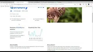 Learn New Word Everyday - Quiddity