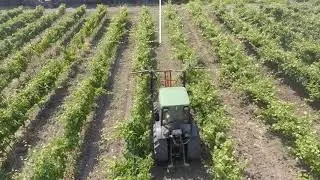 John Deere 5500N / Terral Trimmer / Vineyard /  Drone Gopro Karma