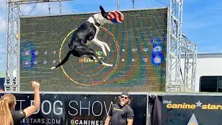 The Canine Stars Stunt Dog Show at NYS Fair in Syracuse NY