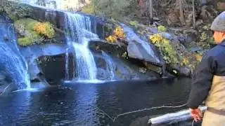 Fly fishing at the base of a small waterfall in Yosemite National Park