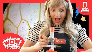 Zoom In on Bees with A Microscope 🔬| Mindy's Laboratory of Bad Ideas | Science Experiments for Kids