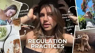 November Vlog | Regulation Practices & BTS of Business