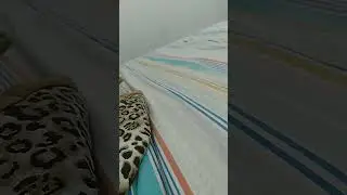 godzilla em comtrado na praia