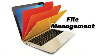 Mastering File Management: Your Complete Guide