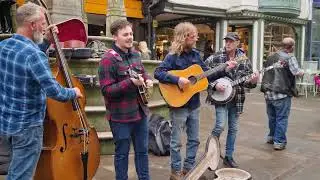 The Devil's Damned String Band - Black Irish - Devil Makes Three [Cover]
