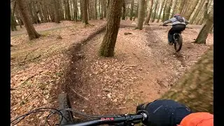 Tollymore MTB - Fallen Tree trail following Colly