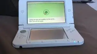 How to use the new pok&eacute;bank update