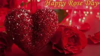 Rose Day quotes/Rose Day Status Video/Rose Day quotes/Rose day wishes/Rose day love❣️