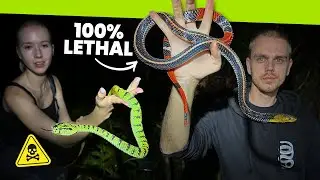 The BEST snakes of my life!