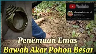 Penemuan EMAS Di Bawah Akar Pohon Besar #metaldetektor #masterdetector #penemuan