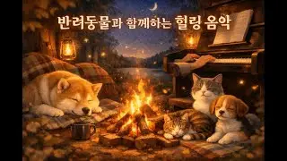 반려동물과 함께 듣는 부드러운 힐링 BGM#힐링음악#동물힐링#반려동물음악#수면음악#힐링BGM#마음치유#편안한음악#12시간라이브#강아지 #고양이