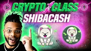 КЛАСС КРИПТО: ТОКЕН SHIBACASH | БОЛЕЕ 5000 ДЕРЖАТЕЛЕЙ | ЛИСТИНГ И ЛИКВИДНОСТЬ НА PANCAKESWAP | СЖИГАНИЕ ТОКЕНОВ