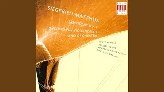 Symphony No. 2: IV. Allegro moderato