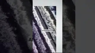 Types Of Velvet Fabric Part -2 #velvet #velvetfabric