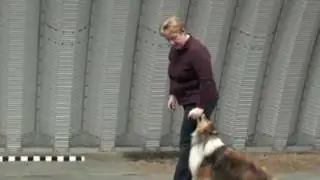 Heeling, Hand targeting.mov