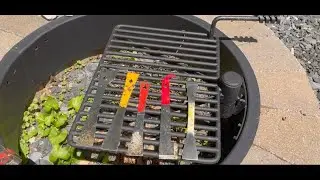 Beekeeping Tip: Best Ways to Clean your Hive Tool